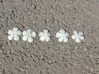 Motif_10